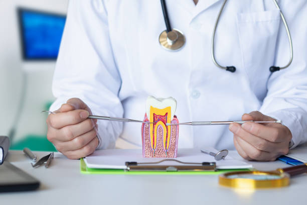 Best Emergency Orthodontic Repairs in Kennedale, TX